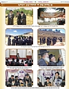 Der Blatt