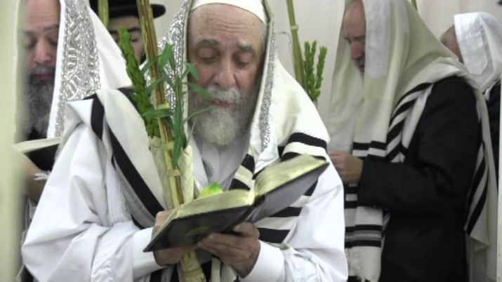 Liska Rebbe on Hoshana Rabba 5773 - 2012, , , ezra friedlander