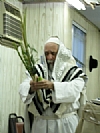 Hoshana Rabba