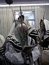 Arba Minim