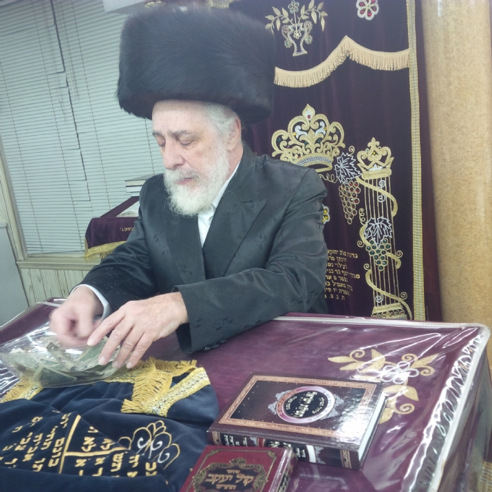 , , Rav Moshe Feinstein, ezra friedlander