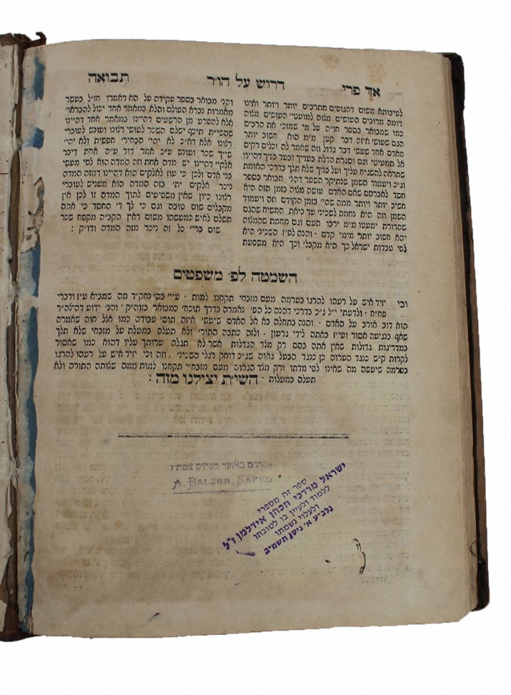 , , , ezra friedlander